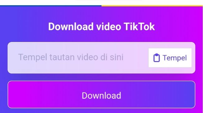 Ssstiktok unduh video tiktok tanpa watermark
